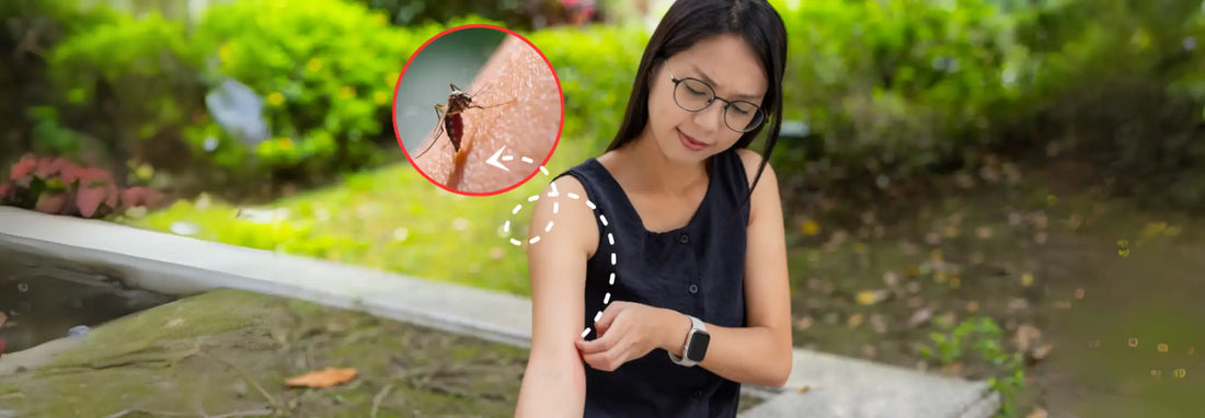 Person scratching a mosquito bite on their arm at dusk outdoors.